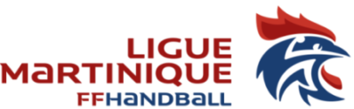 league logo