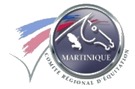 league logo