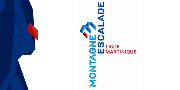 league logo