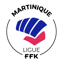 league logo
